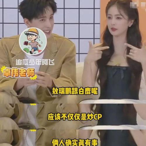 狗仔爆料白鹿最新消息,狗仔爆料揭秘最新幕后故事